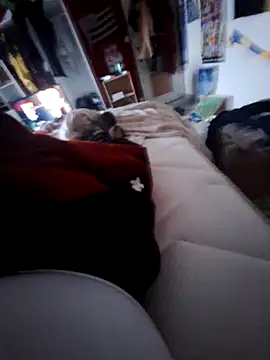 Snapshot of thefrenchhogan29 chatting on February 2025 04:07:01 PM thefrenchhogan29 online show from February 2025 04:07:01 PM