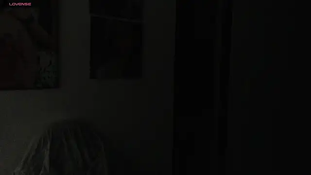 Snapshot of lilyhung1 chatting on February 2025 11:11:02 AM lilyhung1 online show from February 2025 11:11:02 AM