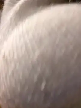 Snapshot of Giuliana_baby chatting on March 2025 09:21:01 AM Giuliana baby online show from March 2025 09:21:01 AM