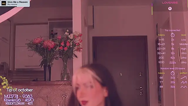 Virtual Wafu online show from November 2025 12:18:01 PM