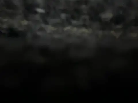 Snapshot of _my_ass_ chatting on February 2025 10:00:01 PM my ass online show from February 2025 10:00:01 PM