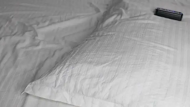 celestara online show from December 2024 12:05:01 PM