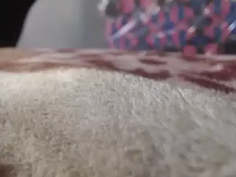 Snapshot of hoittytoittyxx chatting on March 2025 03:20:01 PM hoittytoittyxx online show from March 2025 03:20:01 PM