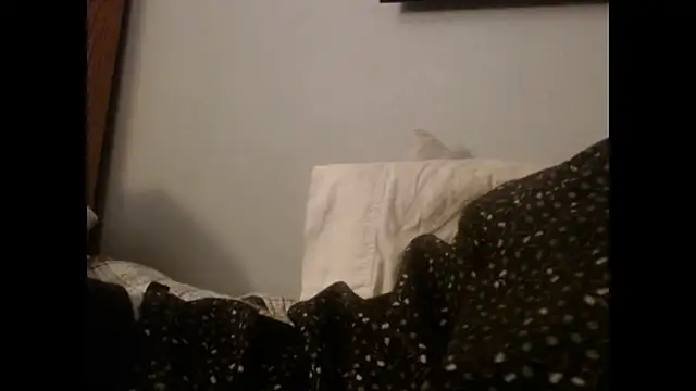 Snapshot of VanceFontaine chatting on October 2025 11:25:01 AM VanceFontaine online show from October 2025 11:25:01 AM