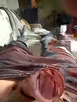 Snapshot of Andy-370 chatting on September 2025 11:56:02 AM Andy-370 online show from September 2025 11:56:02 AM