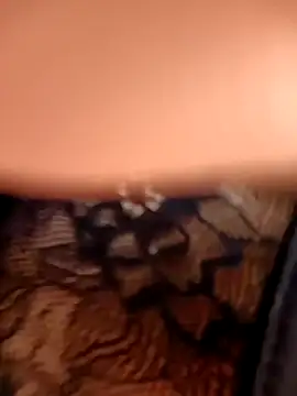 aurora sky11 online show from October 2025 07:47:02 PM