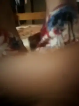 PussyMasterPhD1 online show from November 2025 09:15:01 PM