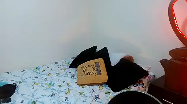 Snapshot of naihroby chatting on December 2024 07:06:02 AM naihroby online show from December 2024 07:06:02 AM