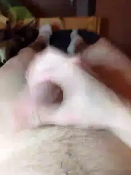 Snapshot of Crazzy_Maiky chatting on January 2025 09:07:01 PM Crazzy Maiky online show from January 2025 09:07:01 PM