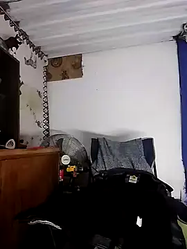 bull Giant online show from December 2024 08:27:01 PM