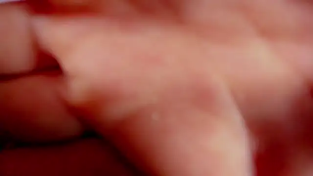 Dafne huges online show from February 2025 04:20:02 PM