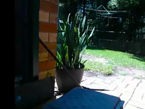 InfamousBabyy  online show from December 2024 12:27:01 AM