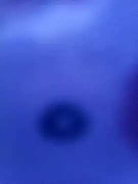 Snapshot of Mia_ross16 chatting on March 2025 06:11:01 PM Mia ross16 online show from March 2025 06:11:01 PM