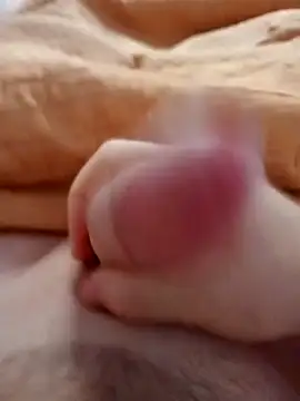 Snapshot of ionutiul chatting on February 2025 06:09:02 AM ionutiul online show from February 2025 06:09:02 AM