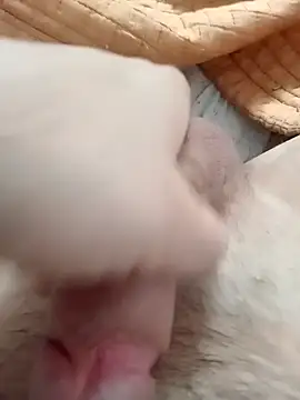 Snapshot of ionutiul chatting on March 2025 02:41:01 PM ionutiul online show from March 2025 02:41:01 PM