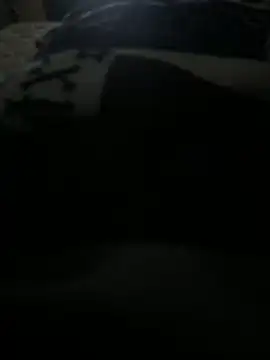 Snapshot of Luis0klk chatting on October 2025 05:08:01 AM Luis0klk online show from October 2025 05:08:01 AM
