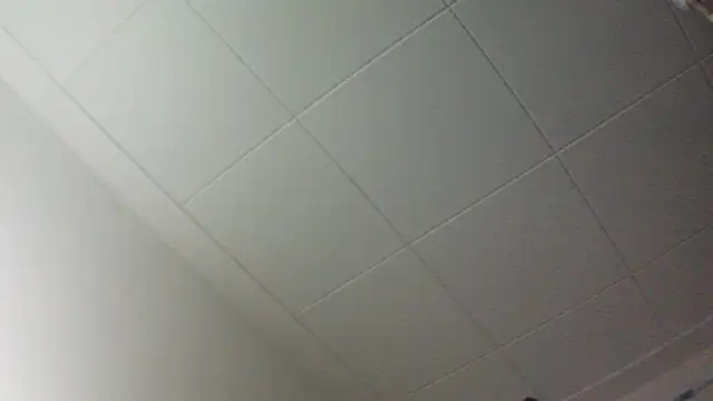 Snapshot of gorkamacbew chatting on September 2025 02:00:02 AM gorkamacbew online show from September 2025 02:00:02 AM