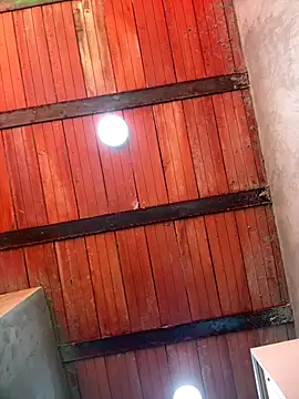 Snapshot of MollySanders___ chatting on October 2025 07:36:02 PM MollySanders online show from October 2025 07:36:02 PM