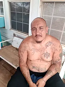 wilsons12 online show from September 2025 08:42:02 PM