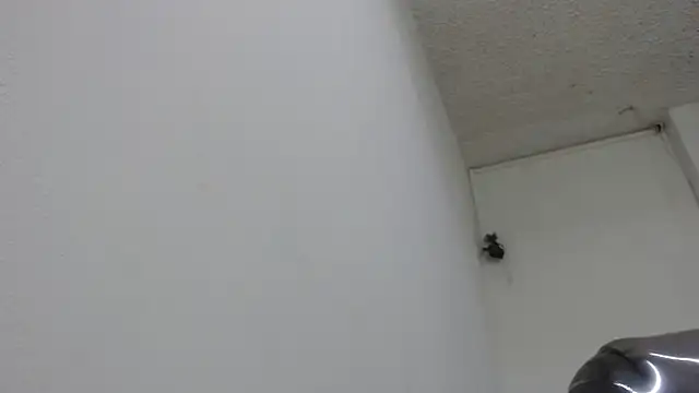 sexy lady 0 online show from February 2025 08:34:02 PM