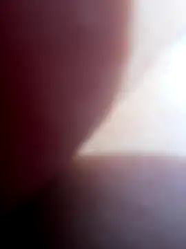 Blue butterfly online show from September 2025 06:13:01 PM