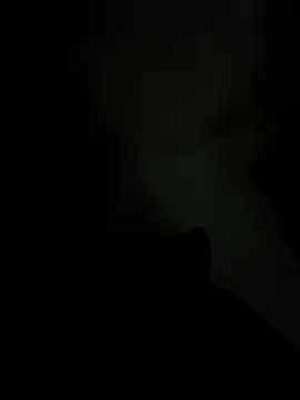 huzi518 online show from February 2025 10:38:02 AM