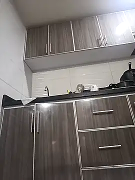 Fenix 528 online show from January 2025 10:51:01 PM