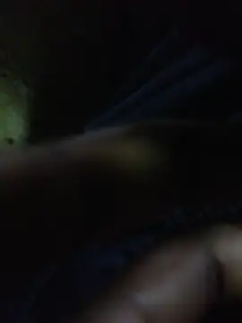 Snapshot of ALEX-BHASHI chatting on October 2025 12:47:01 AM ALEX-BHASHI online show from October 2025 12:47:01 AM