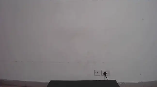 collage hoty online show from February 2025 10:52:02 PM