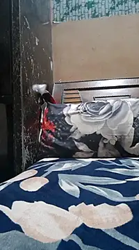 Bbw Juice Wife online show from December 2024 09:40:02 AM