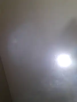 Colorao4 online show from September 2025 02:55:01 PM