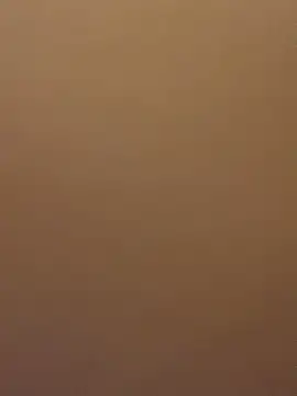 Snapshot of EvaRush chatting on February 2025 08:11:02 PM EvaRush online show from February 2025 08:11:02 PM