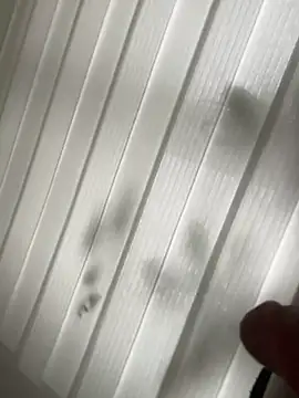 derFickerali online show from January 2025 01:13:01 PM