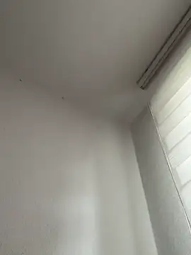 derFickerali online show from October 2025 09:21:01 AM