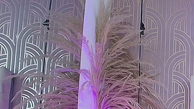 LeylaRangel online show from October 2025 03:47:02 AM