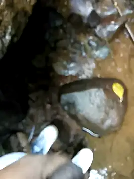 Snapshot of dpkpaksudda chatting on September 2025 07:12:01 AM dpkpaksudda online show from September 2025 07:12:01 AM