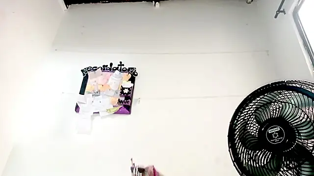 PetiteIvoryQueen19 online show from September 2025 06:13:02 PM