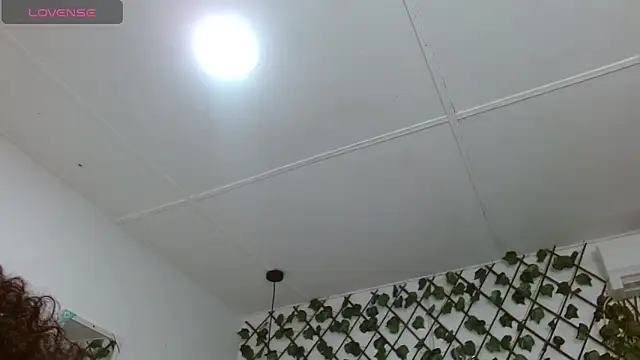 dannaberlin 0 online show from December 2024 12:09:02 PM