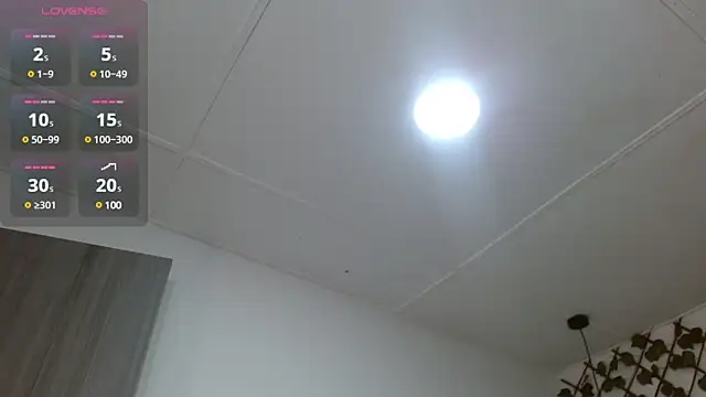 dannaberlin 0 online show from January 2025 12:49:01 PM
