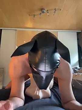 Snapshot of PlayDog123 chatting on October 2025 12:03:01 PM PlayDog123 online show from October 2025 12:03:01 PM