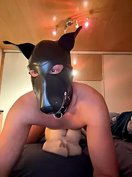 Snapshot of PlayDog123 chatting on November 2025 04:42:02 PM PlayDog123 online show from November 2025 04:42:02 PM