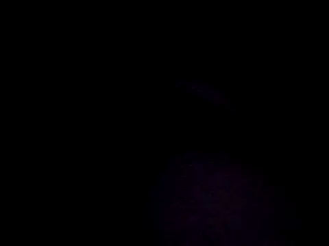 yasohw online show from December 2024 12:45:02 PM