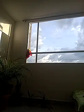 Snapshot of Dangerouspassion777 chatting on September 2025 10:04:02 PM Dangerouspassion777 online show from September 2025 10:04:02 PM