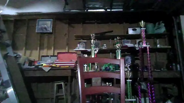 Buffshagswell online show from March 2025 12:59:02 AM