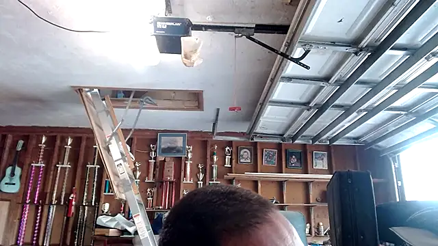 Buffshagswell online show from March 2025 07:17:01 PM