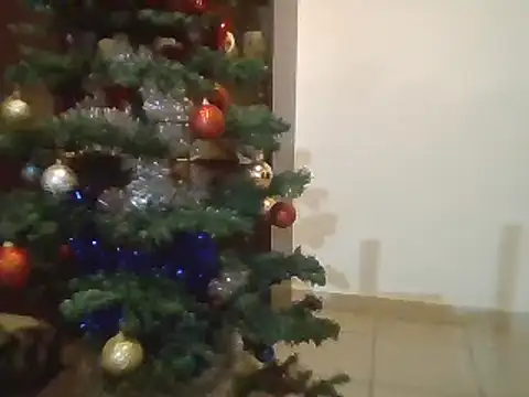 Snapshot of luana63 chatting on December 2024 01:43:01 PM luana63 online show from December 2024 01:43:01 PM