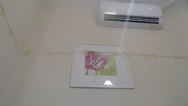 Only Mane online show from January 2025 02:53:02 PM