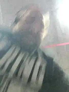 Strong Bear89 online show from December 2024 03:04:01 AM