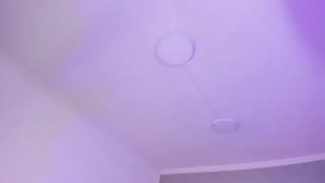 AmberiniHoffman online show from January 2025 05:41:01 PM