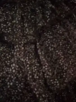 Snapshot of Indian_lovly chatting on February 2025 10:39:02 AM Indian lovly online show from February 2025 10:39:02 AM